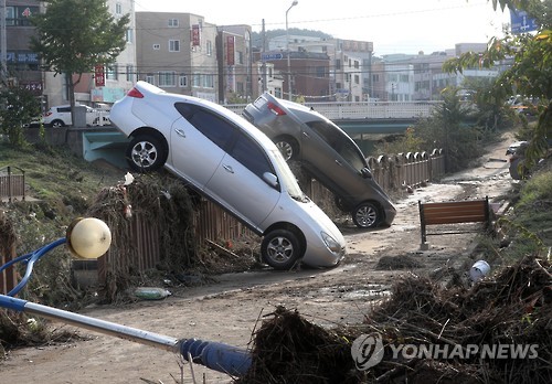 울산시 "올해 태풍 태화강 둔치 차량 피해 0건"