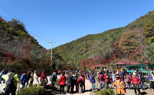 "야속한 돼지열병" 강원 접경지 축제 잇단 취소에 상경기 '흔들'