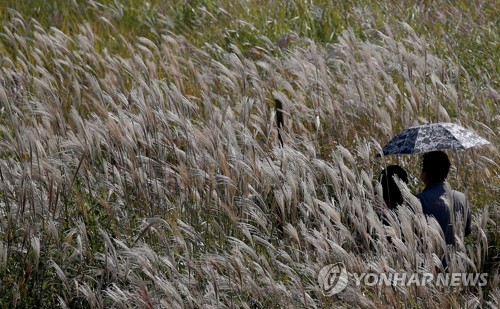 [날씨] 내일 전국 대체로 맑고 선선…해안가 강한 바람