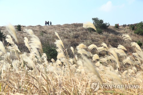 [날씨] 내일 아침 곳곳 영하권…올가을 들어 가장 추워