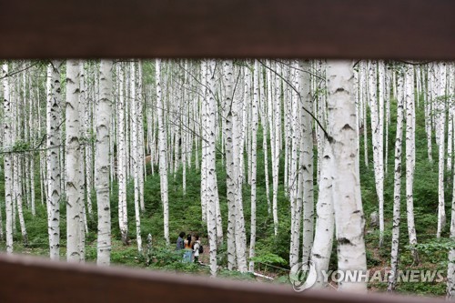 "백두대간 축제를 품다"…제2회 숲 해설 경연대회 인제서 개최