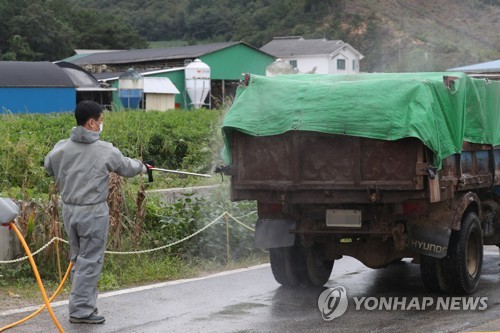 경기 화성 아프리카돼지열병 의심 신고 '음성' 판정