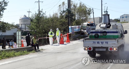 경기 김포 통진읍서 아프리카돼지열병 의심 신고