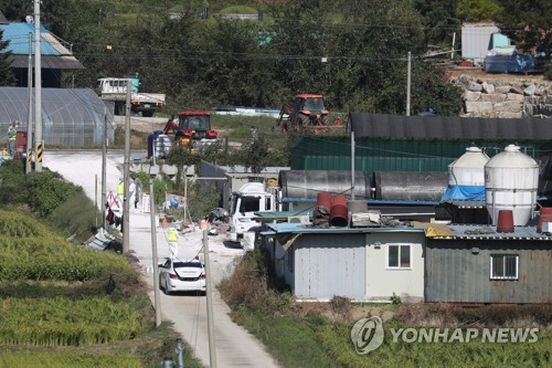 경기 북부서 돼지열병 또 확산…파주·김포 확진 '총 13건'