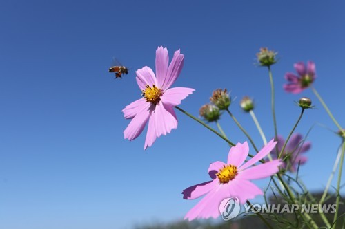 낮 최고 25도 '일교차 주의'…동해안·제주 아침까지 비