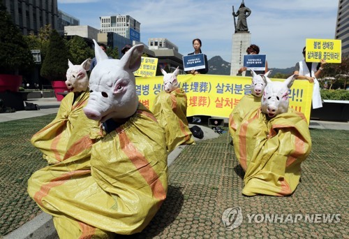 오늘 '세계 농장동물의 날'…동물권단체 "생매장 살처분 중단"