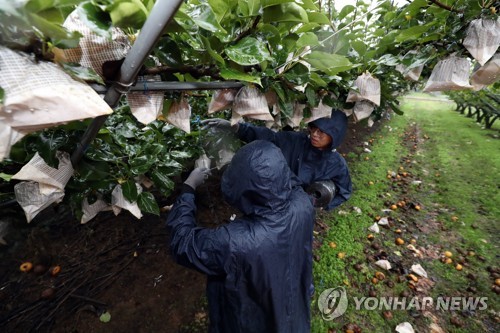 '또 태풍' 광주·전남 올해만 7차례 직간접 영향