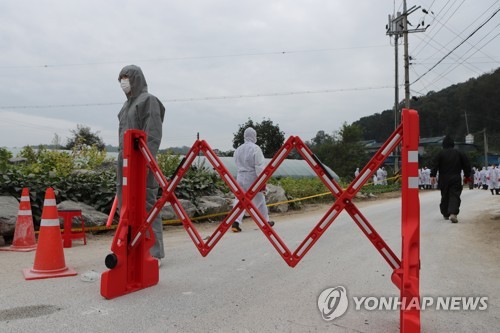 첫 발생지 파주서만 4건… 돼지열병 방역 적절성 다시 도마에