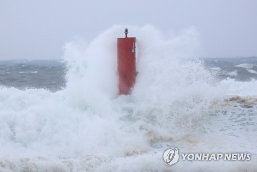 제주공항 태풍·윈드시어 특보…오후 1시 이후 대부분 결항