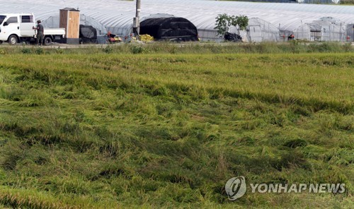 태풍 '미탁' 경남 피해지역 빠른 회복세…응급복구 완료