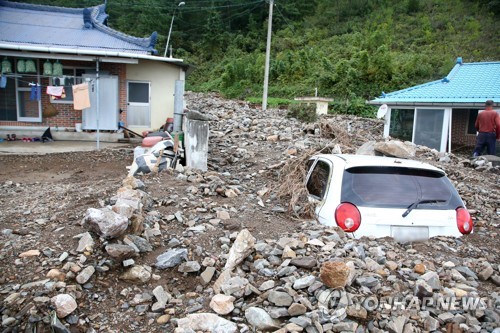 전국 지자체, 태풍 피해복구 본격화…휴일도 잊고 '구슬땀'(종합2보)