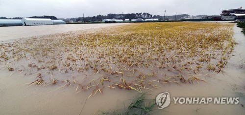 강원 동해안 피해 복구 본격화…이재민 밤새 '뜬 눈'