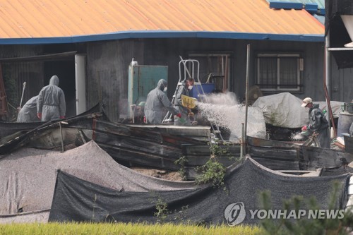 김현수 장관, 일부 농가 반발에도 "돼지 수매·살처분 신속처리"