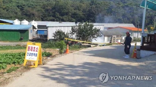 '5일간 잠잠' ASF 첫 잠복기 지났다…국내 2차 전파 차단 총력