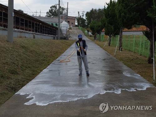 또 ASF 의심신고…전국 최대 양돈단지 충남 초긴장