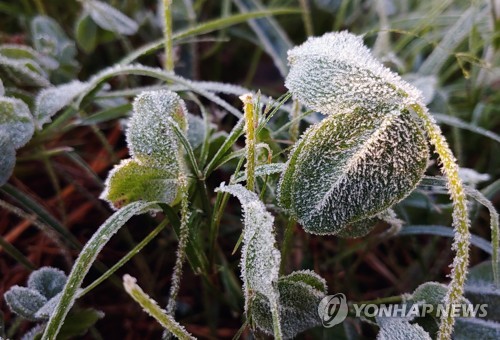 강원 설악산 1.7도 기온 '뚝'…동해 해상 풍랑경보