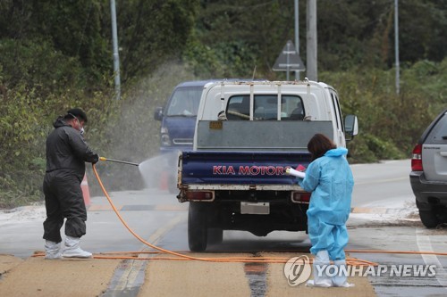 돼지열병 중점관리지역 가축·분뇨·차량 통제 연장