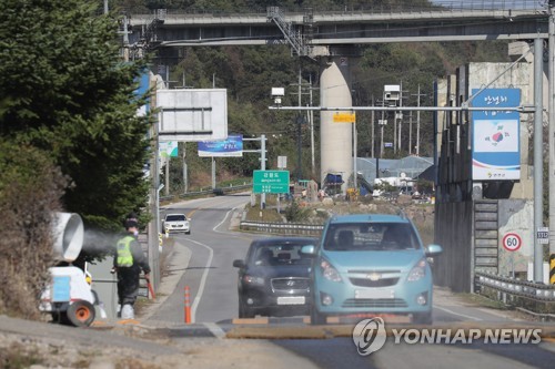 대구 멧돼지 사체 검사 결과 아프리카돼지열병 '음성'