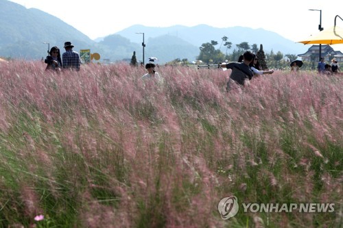 "가을은 축제의 계절" 전국 유원지에 나들이객 북적