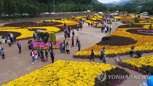 "가을은 축제의 계절" 전국 유원지에 나들이객 북적