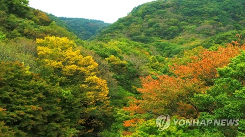 화려한 문화공연에 전통 체험도…가을 제주는 축제장