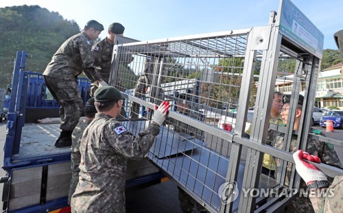 야생멧돼지 48시간 포획조치 완료…軍 "효과 분석중"