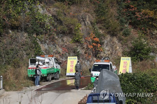 '멧돼지 감염 방지' 파주·연천·철원 임시 철조망 설치 마쳐