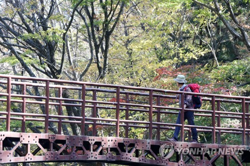 "산도 물도 그대도 단풍이어라!" 지리산 피아골 단풍축제