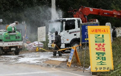 [속보] 경기 연천서 '돼지열병' 의심 신고…확진시 14번째