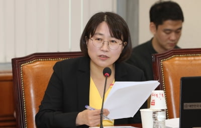 추혜선 "인터넷전문은행, 대주주 자격 규제 완화 안돼"