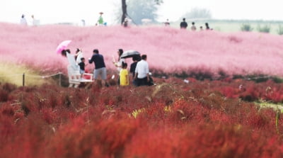 오늘 날씨, 미세먼지 좋음…선선한 가을