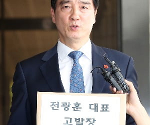 민주당, 광화문집회 주도 전광훈 목사 '내란선동' 고발