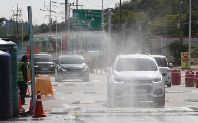 [종합]경기 포천·충남 보령서 아프리카돼지열병 의심 신고