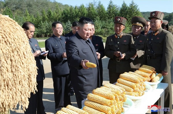 정은 북한 국무위원장이 지난 5일 스웨덴에서 열린 북미 비핵화 실무협상 결렬 이후 첫 공개활동으로 농업 현장을 방문했다. 연합뉴스