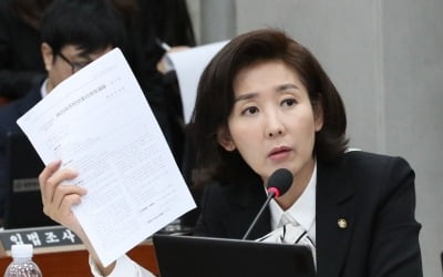 나경원 "의원직 총사퇴, 실효 카드 아냐…사퇴 각오하고 투쟁"