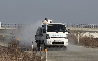 'ASF 와중에 AI·구제역 안돼'…경기도, 차단방역 총력