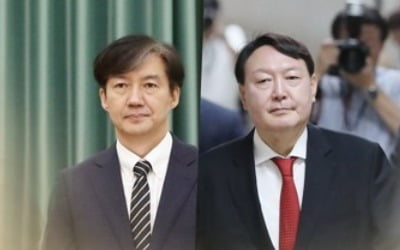 "윤석열, 조국 임명前 文대통령 독대요청"…曺반대 전방위 전달