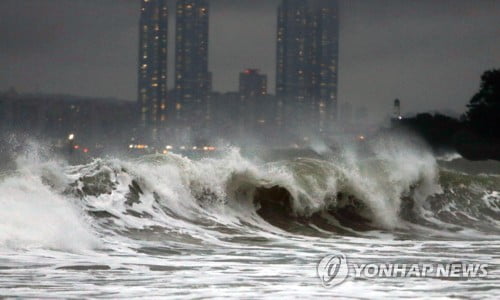 태풍 미탁 곧 목포 상륙…제주 301㎜ 비·시속 117㎞ 강풍 기록