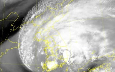 태풍 '미탁' 오후 9시40분 전남 해남 상륙…남부지방 관통 시작
