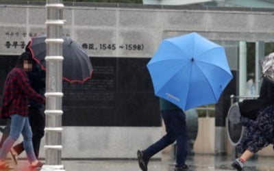 개천절 태풍 '미탁' 영향 전국에 비바람…저녁에 대부분 그쳐