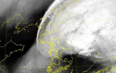태풍 '미탁' 동해로 진출…오늘까지 동해안 매우 강한 비바람