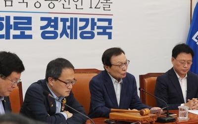 與, 한국당 광화문 집회 비난…"민생 외면한 군중동원 폭력집회"