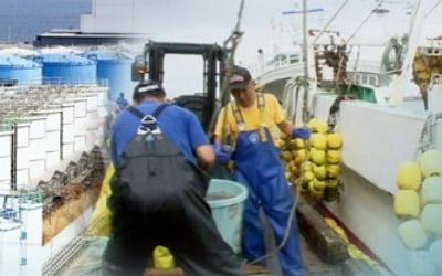 정부, 국제해사기구 총회서 日 후쿠시마 오염수 문제제기