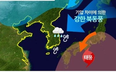 태풍 '하기비스' 일본 접근…주말 우리나라에 높은 파도·강풍