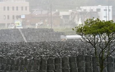 日환경상 "태풍에 유실된 원전 폐기물, 환경 영향 없어" 주장