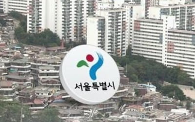 "2년간 서울 9억 이상 개별단독주택 62% 증가…공시가는 82%↑"