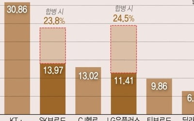 공정위 LGU+·CJ헬로 결합심사 '유보'…유료방송 M&A 차질생기나