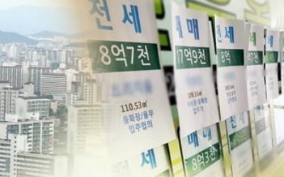 상한제 시행 초읽기…서울 아파트값은 16주 연속 상승