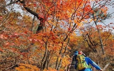 설악산 단풍 절정…만산홍엽 계곡마다 등산객 북적