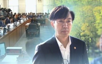 '시작도 끝도 조국' 국감…정책이슈 실종·욕설에 얼룩